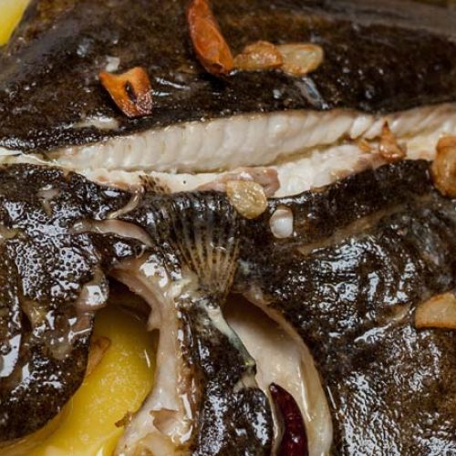 rodaballo bilbaina coriu